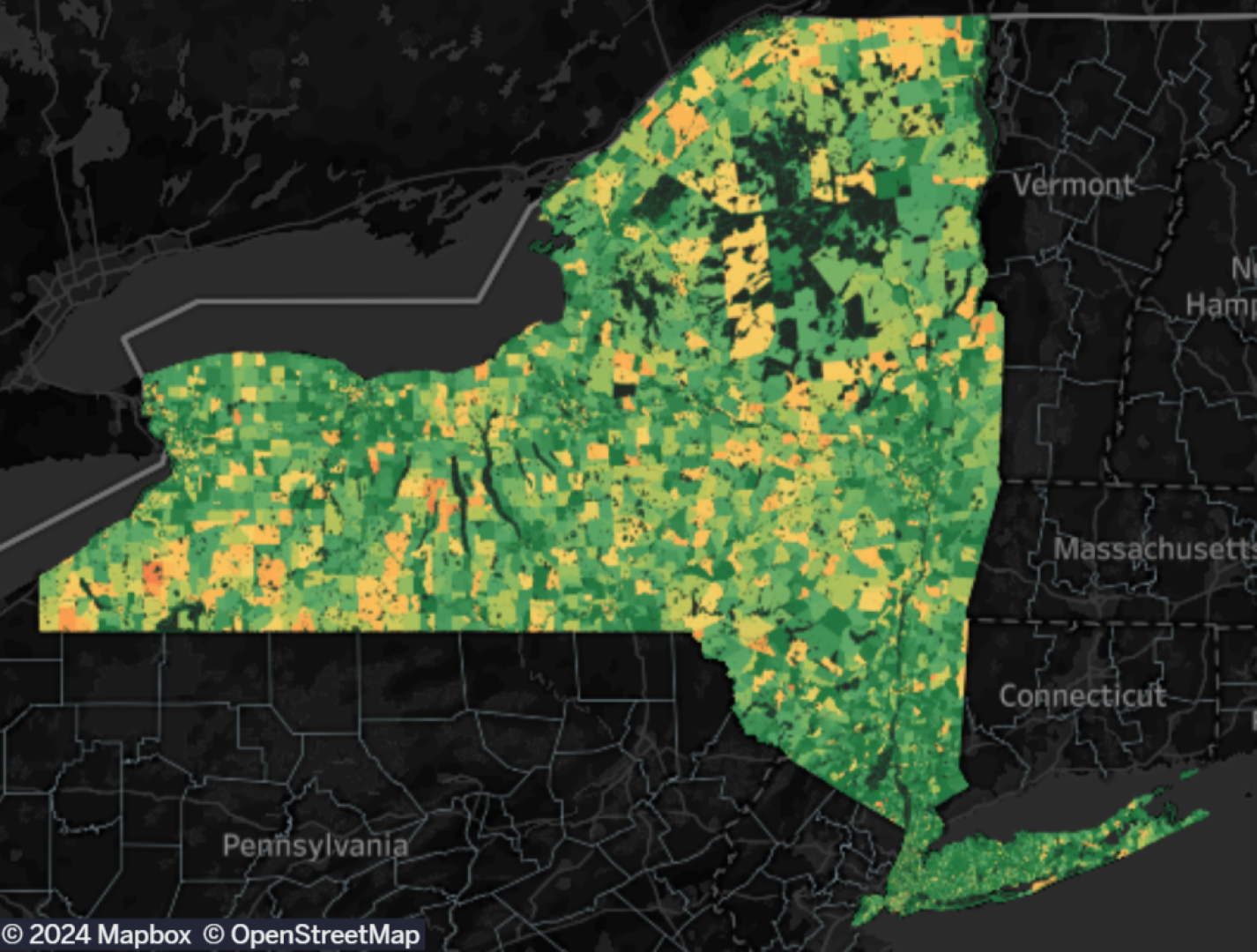 Broadband for All? Mapping and Discussing Progress and Remaining Challenges Across NYS