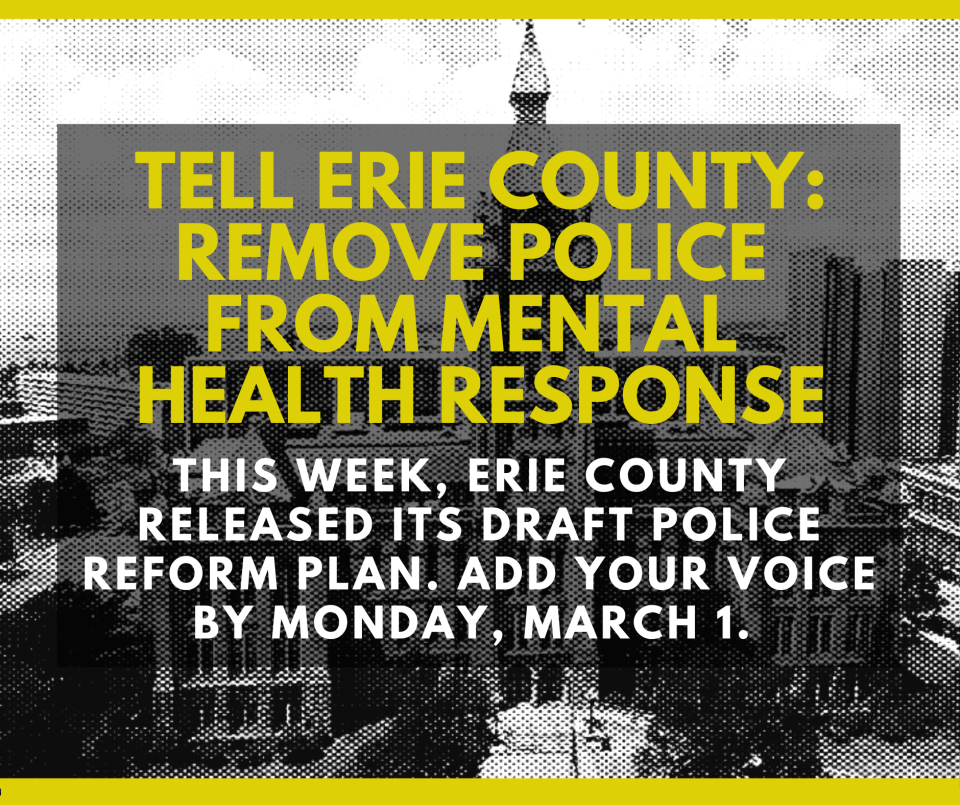 Erie County Just Released Its Draft Police Reform Plan - Add Your Comments by March 1