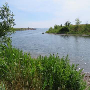 Outer Harbor 2