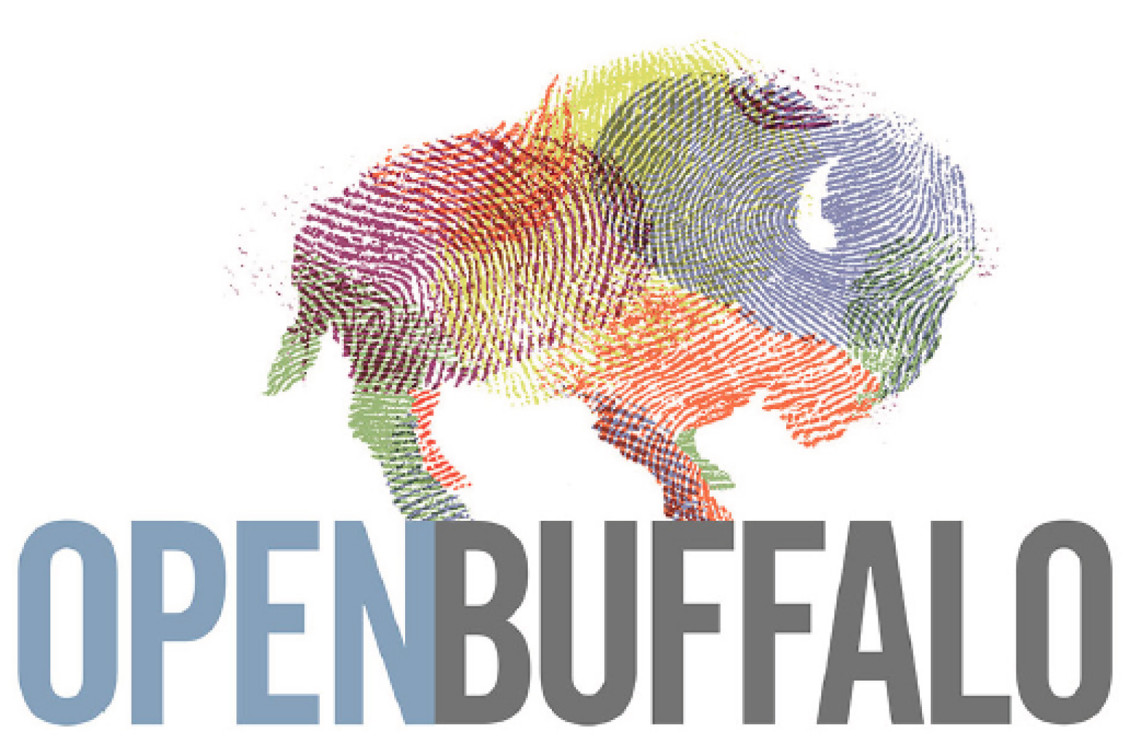 Open Buffalo and the Justice Leadership Institute: Leah Daniel and Max Anderson on The Public Good
