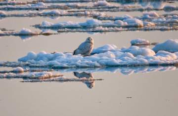 Outer Harbor 3