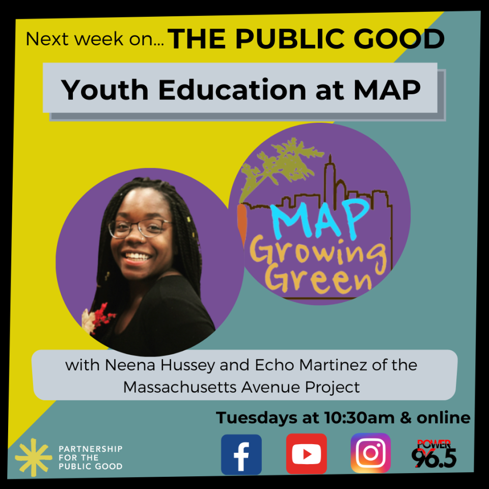 Youth Education at MAP: Neena Hussey and Echo Martinez on The Public Good