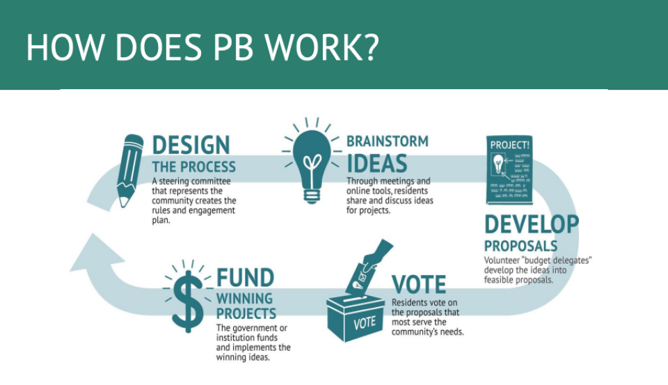 Learning from National and Local Precedents for Participatory Budgeting